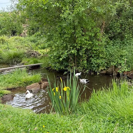 Lejlighed Le Canard Boiteux Dambach