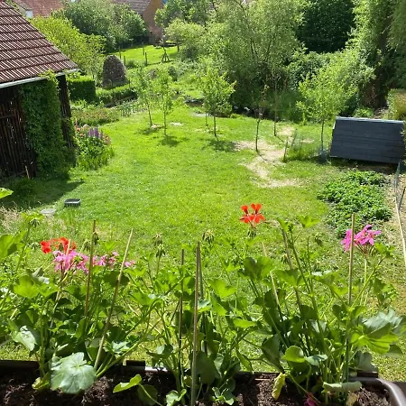Le Canard Boiteux Dambach