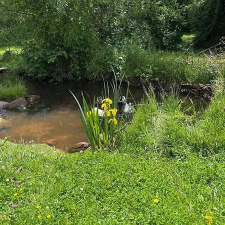 Le Canard Boiteux * Dambach