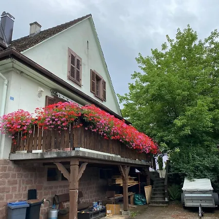 Lejlighed Le Canard Boiteux Dambach