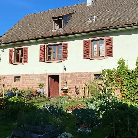 Le Canard Boiteux Dambach